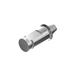 ZZ BASE BE-SE-MultiPlus (Model implant)