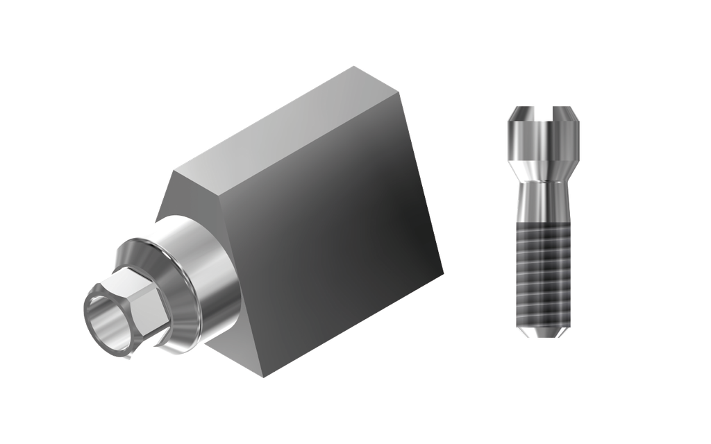 ZZ BASE BE-SE-PS-SM 4.1 (Scanmarker and screw)