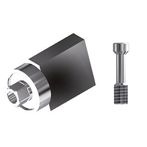 ZZ BASE TH-SPI-SM 6.0 (Scanmarker Implant Level & Screw)