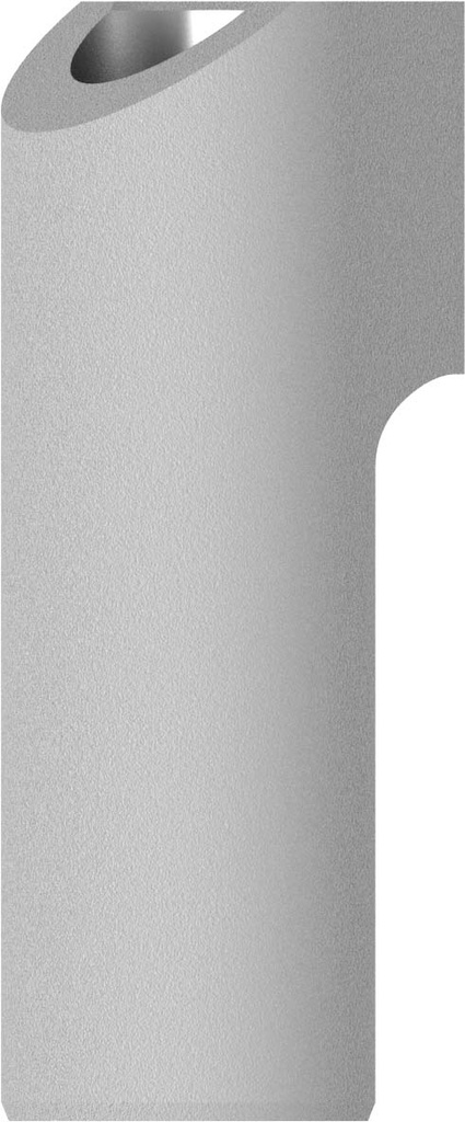 ScanBody Engaging Octa Abutment JDIcon Plus