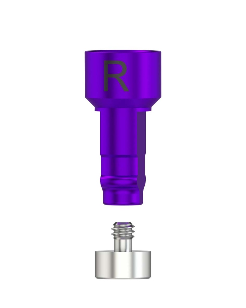 Laboratory Analog CADCAM-CS Ø 4,5mm [ZB-TSV] 