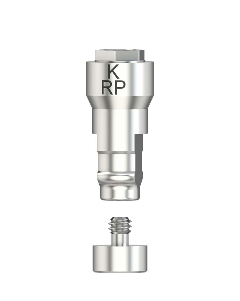 Laboratory Analog CADCAM-CS RP 4,1 [NB-BR] 