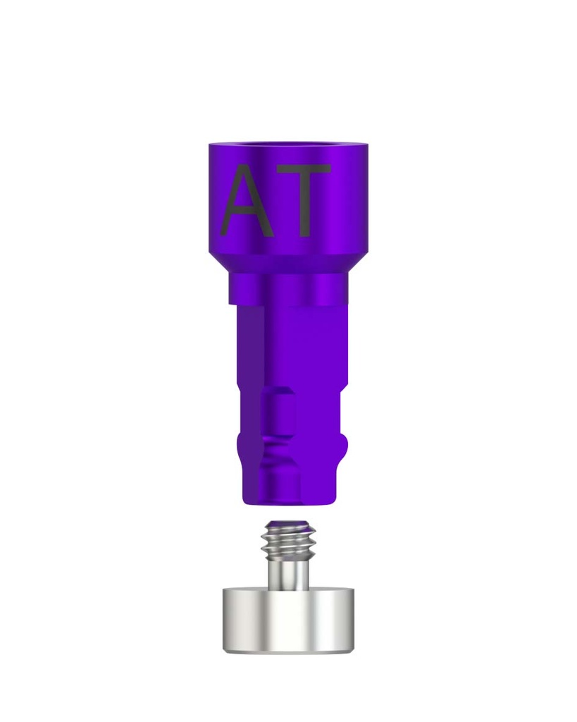 Laboratory Analog CADCAM-CS N [AG-TL]