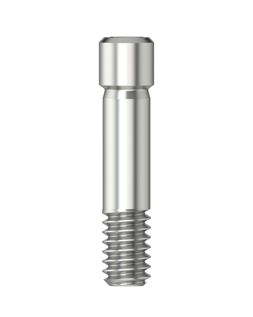 Abutment screw / Hex 1.26 M 2.0 [DT-SL/IM]