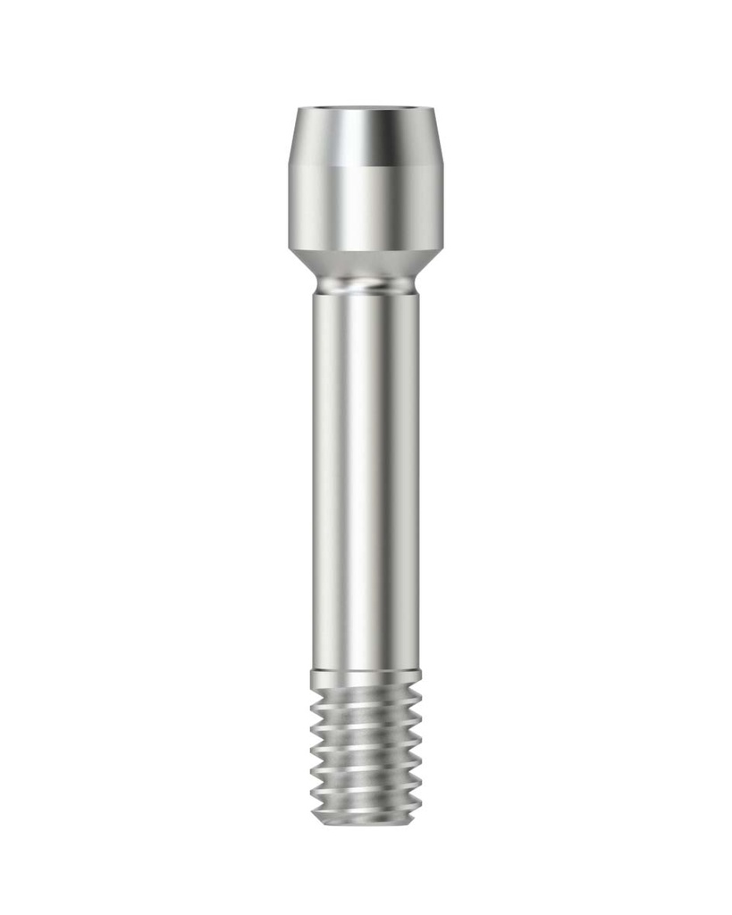 Abutment Screw / Hex 1.2 M 1.6 [MG-AR]