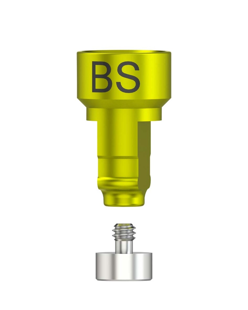 Laboratory Analog CADCAM-CS Ø 5,5mm [BE-SEM] (kopie)
