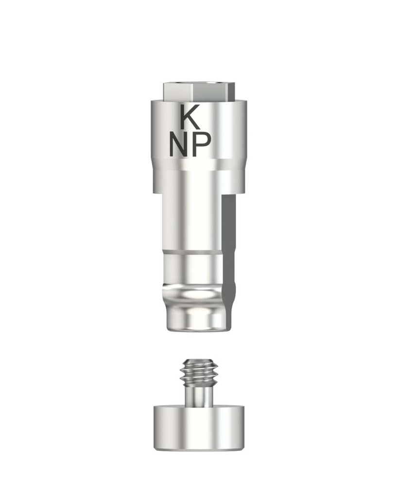 Laboratory Analog CADCAM-CS NP 3,5 [NB-BR]