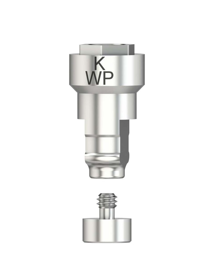 Laboratory Analog CADCAM-CS WP 5,1 [NB-BR]