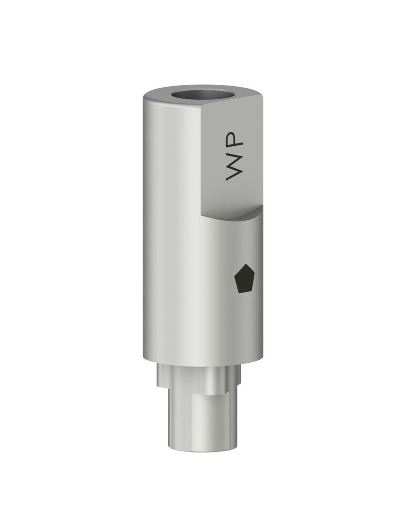 Scan Body / Incl. Retention Screw - WP Ø 5,0 mm [NB-RS]