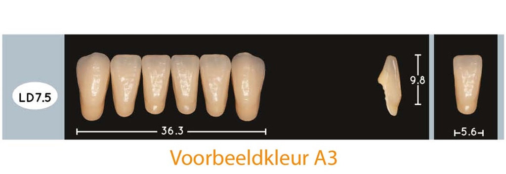 EnigmaLife+ Digital Tandenset onder B2-LD7.5