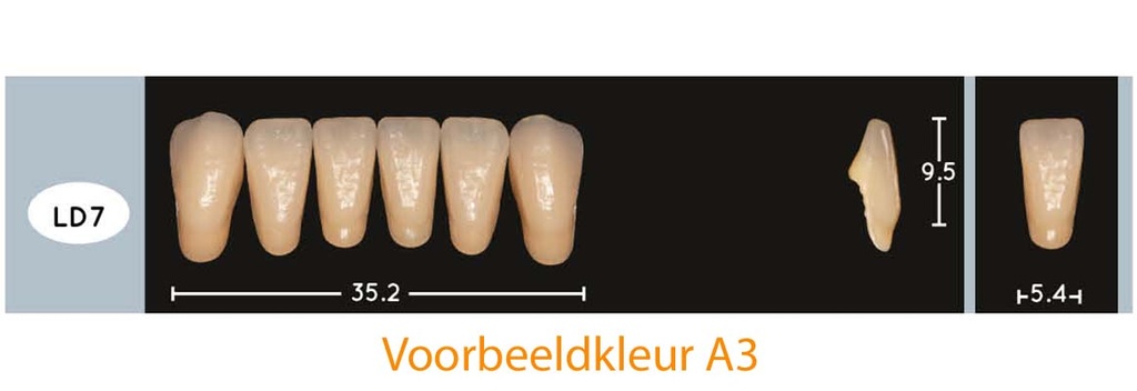 EnigmaLife+ Digital Tandenset onder C2-LD7
