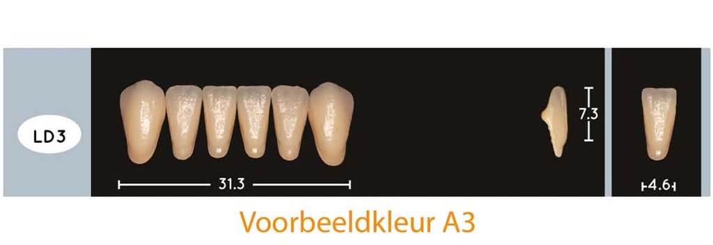 EnigmaLife+ Digital Tandenset onder D3-LD3