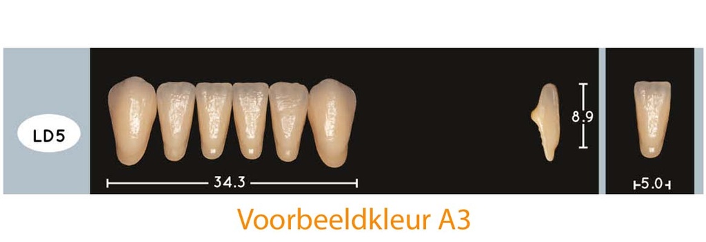 EnigmaLife+ Digital Tandenset onder D3-LD5
