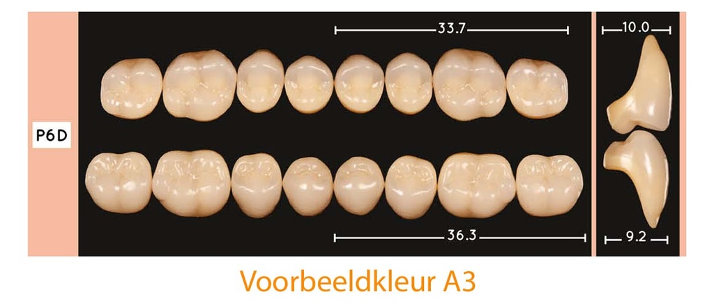 EnigmaLife+ Digital Kiezenset onder A4-P6D-