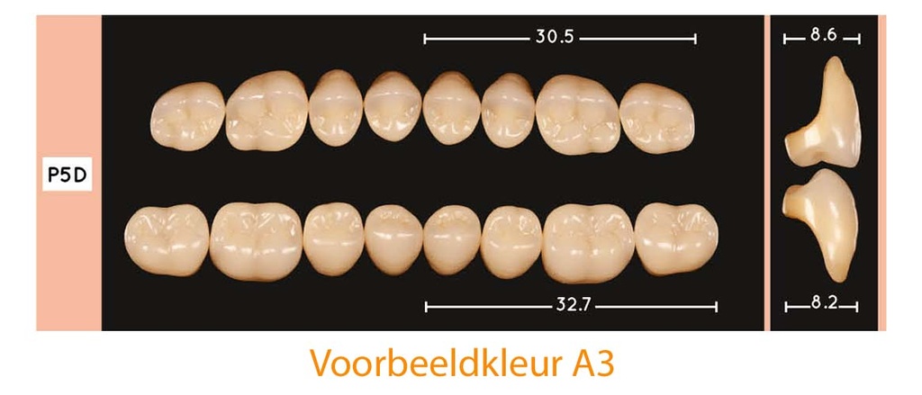 EnigmaLife+ Digital Kiezenset boven B2-P5D+