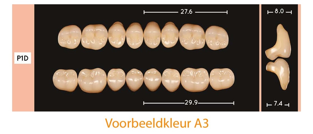 EnigmaLife+ Digital Kiezenset onder C2-P1D-
