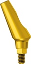 25° Gp Abutment angulated H 1.5 JDIcon Plus