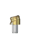 MedentiLOC Abutment Ø 3,5-5,5 mm GH 1,0 mm Angled [BR-SKY]