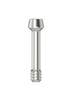 Abutment screw Ball Torx M 1,6 (angled)