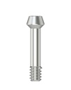 Abutment screw Ball Torx M 2,0 (angled)