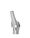 Angled Abutment incl. Screw 16° GH 1 mm Ø 3,5 mm Typ 1 [NB-RS]