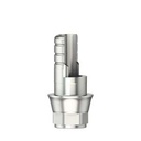 Ti-Base ASC Flex Type 1 / SF - WP 5,5 [NB-CC]