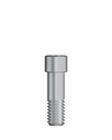 Abutment Screw RP