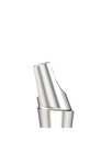 Angled Abutment incl. Screw 16° GH 2,5 mm Ø 4,1 mm Typ 2 [NB-BR]