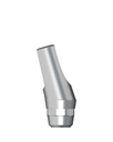 Angled Abutment incl. Abutment Screw 16° RN Ø 4,8 mm Typ 1 [ST-TL]