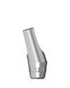 Angled Abutment incl. Abutment Screw 16° RN Ø 4,8 mm Typ 2 [ST-TL]