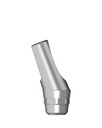 Angled Abutment incl. Abutment Screw 21° RN Ø 4,8 mm Typ 2 [ST-TL]