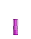 Lab Screw (Standard Abutments) RN/WN [ST-TL]