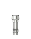 Abutment Screw Ball Torx M 2,0 [NE-PA]