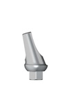 Angled Abutment incl. Screw 16° GH 1,0 mm Ø 3,5 mm Typ 1 [ZB-TSV]