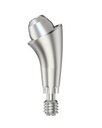 Multi-Unit Abutment Angled 30° /X 3,5-7,0 GH 3,1/5,5 [DS-A]