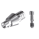 ZZ BASE NB-RS-PCTBH 3.5 L30 (Parallel Ti-Base Hex & Screw)