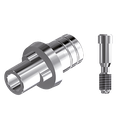 ZZ NB-RS-PCTBH 5.0 L10 (Parallel Cem. Ti-Base Hex & Screw)