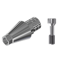ZZ BASE NB-NA NP L40 (Parallel Cem. Ti-Base Hex & Screw)