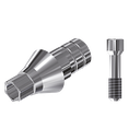 ZZ BASE NB-NA CC 3.0 L20 (Parallel Cem. Ti-Base Hex & Screw)