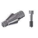 ZZ BASE NB-NA CC 3.0 L30 (Parallel Cem. Ti-Base Hex & Screw)