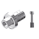 ZZ BASE TH-SPI-PCTBH 4.5 (Parallel Cem. Ti-Base Hex & Screw)