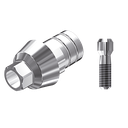 ZZ BASE BEGO-SEM-PCTBH 3.25 L20 Parallel Ti-Base Hex & Screw