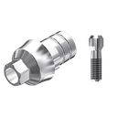 ZZ BASE BEGO-SEM-PCTBH 4.10 L20 Parallel Ti-Base Hex & Screw