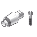 ZZ BASE BEGO-SEM-PCTBH 4.10 L40 Parallel Ti-Base Hex & Screw