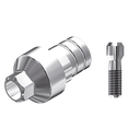 ZZ BASE BEGO-SEM-PCTBH 4.50 L20 Parallel Ti-Base Hex & Screw