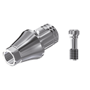 SET ZZ BASE NB-A-ABH-L30 RP (Abutment hex L30 and screw)