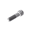 ZZ BASE AS-EV-SC 3.6 (Screw for Zr-abutments)