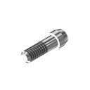 ZZ BASE AS-EV-SC 5.4 (Screw for Zr-abutments)