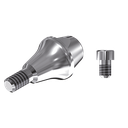 SET ZZ BASE NB-A-ZZMUA-L25 NP(MU Abutment hex L25 and screw)