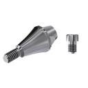 SET ZZ BASE NB-A-ZZMUA-L35 NP(MU Abutment hex L35 and screw)